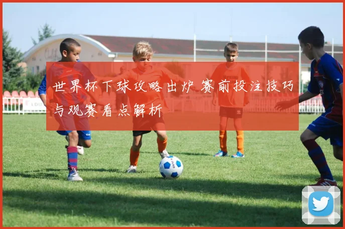 世界杯下球攻略出炉 赛前投注技巧与观赛看点解析